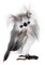 Contemporary Home Living 10.5" Standing Owl with Zebra Feather Christmas Plush Figurine